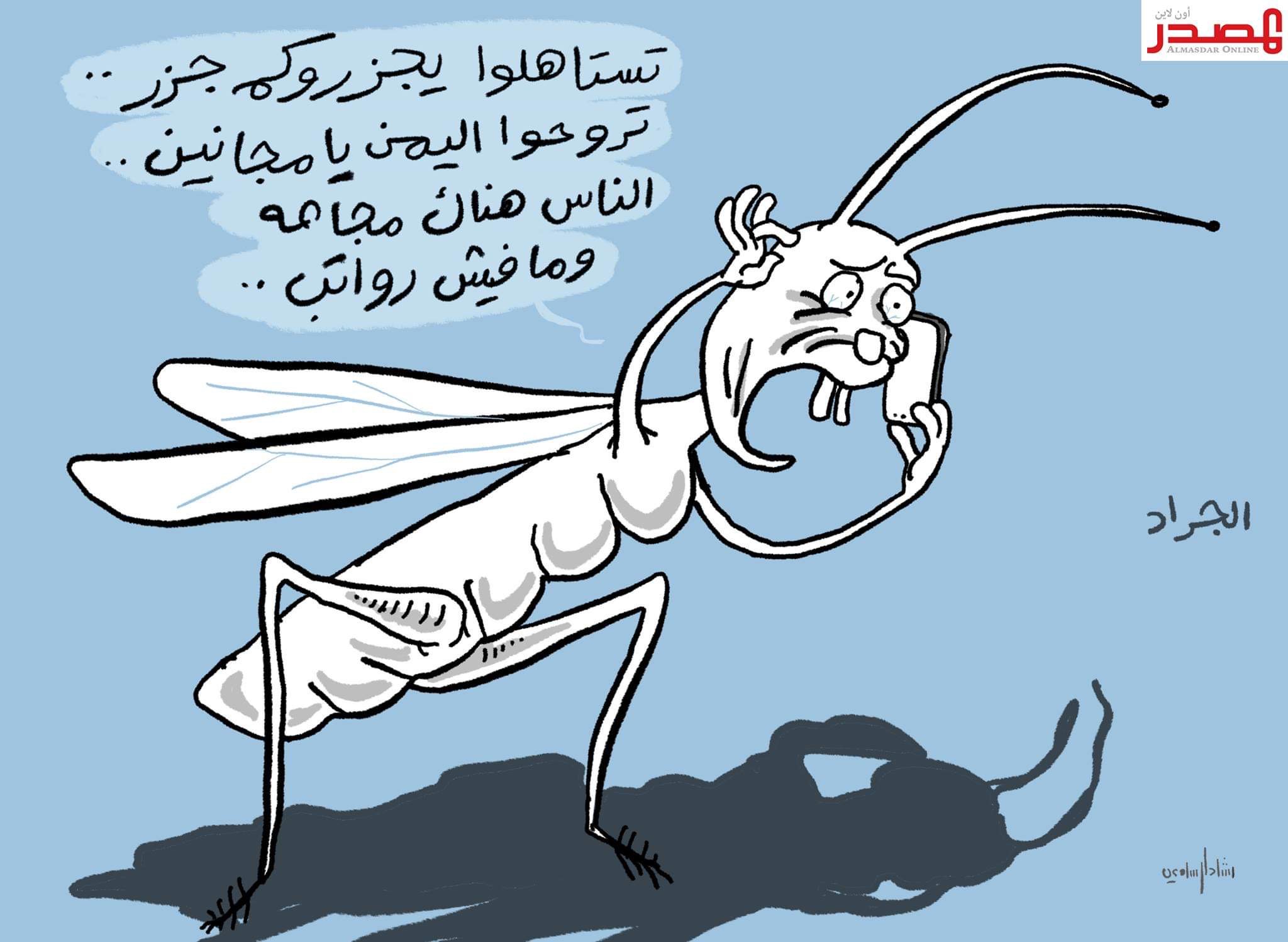 الجراد في اليمن 