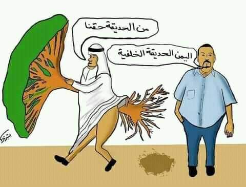 كاريكاتير سلطان البركاني والحديقة الخلفية 